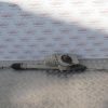 CITROEN C3 L.10, VOLANSKE LETVE