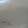 FIAT TIPO L.17, PVC POSODA VITREKS - Image 3