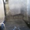 RENAULT SCENIC L.08, DEL VEZNE STENE - Image 2
