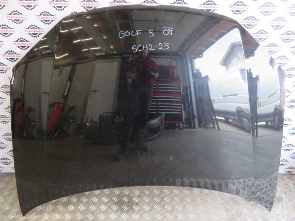 VW GOLF 5 L.07, POKROV MOTORJA