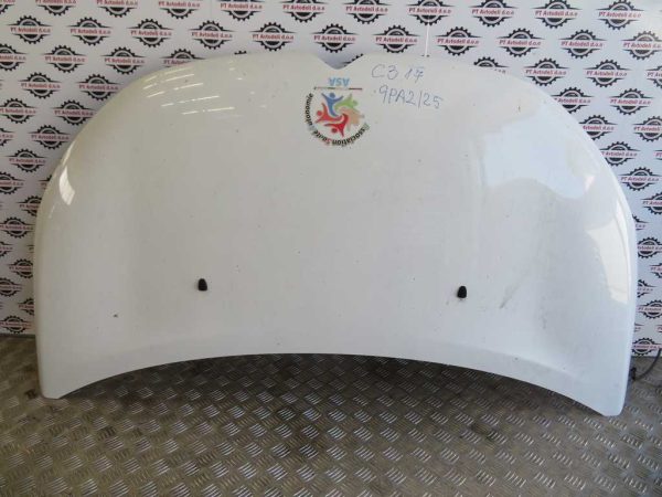 CITROEN C3 L.17, POKROV MOTORJA